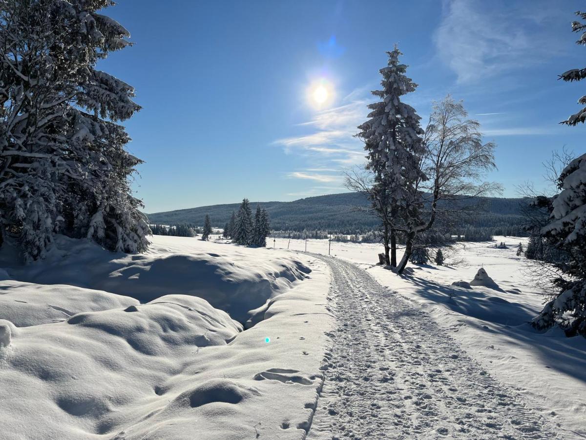 Woodyou - Izerski Resort Świeradów-Zdrój Eksteriør billede