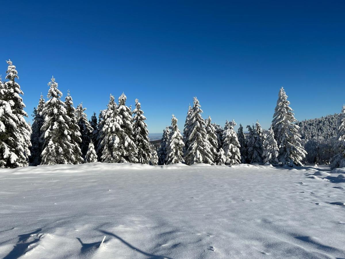 Woodyou - Izerski Resort Świeradów-Zdrój Eksteriør billede